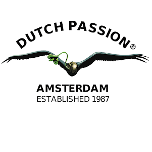 Dutch Passion